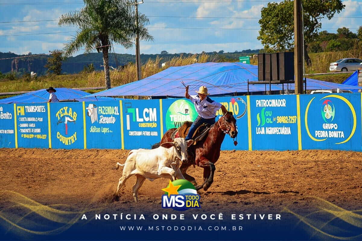 Imagem da Galeria